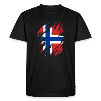 Drapeau de la Norvège Scandinavie Drapeau norvégien - T-shirt Premium bio Homme - noir - Devant - Nico (187cm)