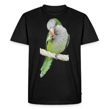 Argentine Parakeet - Men's Premium Organic T-Shirt - black - Front - Nico (187cm)