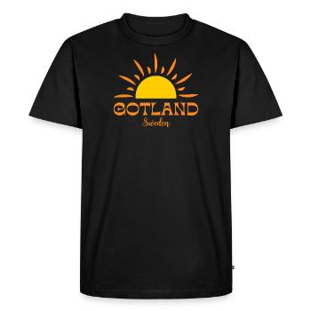 GOTLAND Schweden Sonne - Männer Premium Bio T-Shirt - Schwarz - Vorne - Nico (187cm)
