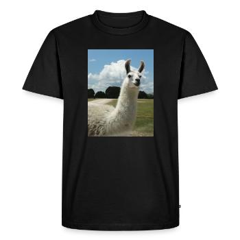 lama, alpaga, alpaga amour, cadeau - T-shirt Premium bio Homme - noir - Devant - Nico (187cm)