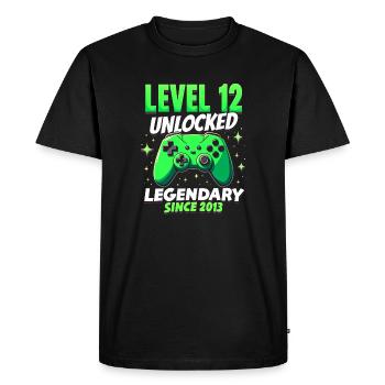 Niveau 12 Anniversaire Jeune Gamer Drôle 2013 - T-shirt Premium bio Homme - noir - Devant - Nico (187cm)