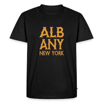Albany - New York - États-Unis d’Amérique - États-Unis - T-shirt Premium bio Homme - noir - Devant - Nico (187cm)