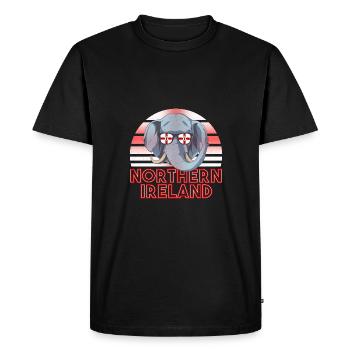 Irlande du Nord - T-shirt Premium bio Homme - noir - Devant - Nico (187cm)
