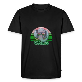 Wales - Men's Premium Organic T-Shirt - black - Front - Nico (187cm)