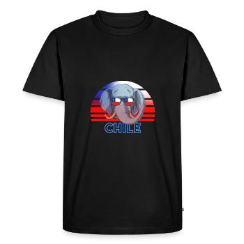 Chile - Men's Premium Organic T-Shirt - black - Front - Nico (187cm)