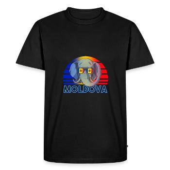 Moldavie - T-shirt Premium bio Homme - noir - Devant - Nico (187cm)