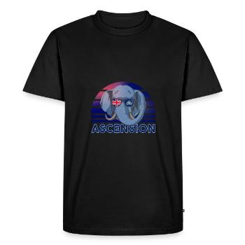 Ascension - Men's Premium Organic T-Shirt - black - Front - Nico (187cm)