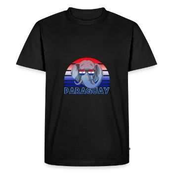 Paraguay - Men's Premium Organic T-Shirt - black - Front - Nico (187cm)