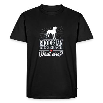 Rhodesian Ridgeback what else? - Men's Premium Organic T-Shirt - black - Front - Nico (187cm)