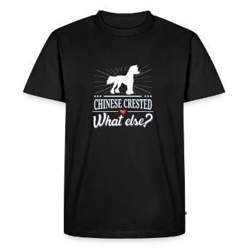 Chinois à crête quoi d'autre? chinois à crête - T-shirt Premium bio Homme - noir - Devant - Nico (187cm)