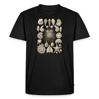 Ernst Haeckel -Thalamophora - T-shirt Premium bio Homme - noir - Devant - Nico (187cm)