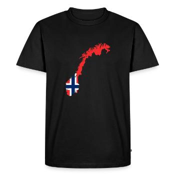 drapeau Norvège - T-shirt Premium bio Homme - noir - Devant - Nico (187cm)