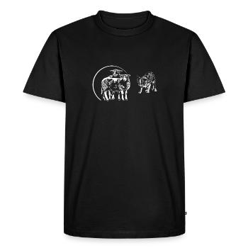 BORDER COLLIE Hütehund Schafe - Männer Premium Bio T-Shirt - Schwarz - Vorne - Nico (187cm)