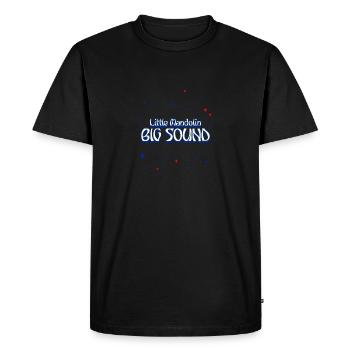 Little Mandolin - Big Sound (Ellipse Stars, Cœur) - T-shirt Premium bio Homme - noir - Devant - Nico (187cm)