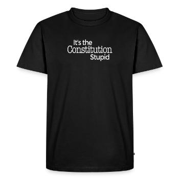 It's The Constitution Stupid - Men's Premium Organic T-Shirt - black - Front - Nico (187cm)