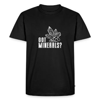 Ores: Collecting minerals and gemstones - Men's Premium Organic T-Shirt - black - Front - Nico (187cm)