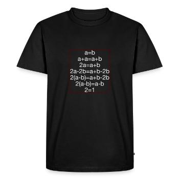 MATHÉMATICIENS - T-shirt Premium bio Homme - noir - Devant - Nico (187cm)