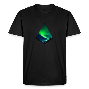 Aurora Borealis - Polarlichter - Men's Premium Organic T-Shirt - black - Front - Nico (187cm)