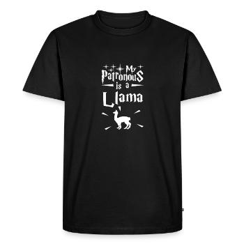 Mon mécène est un lama - T-shirt Premium bio Homme - noir - Devant - Nico (187cm)