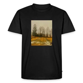 Fantastic design of the Norwegian landscape - Men's Premium Organic T-Shirt - black - Front - Nico (187cm)