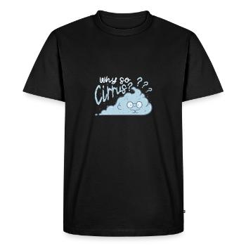 Météorologue Prévisionniste météo Pourquoi si cirrus ? - T-shirt Premium bio Homme - noir - Devant - Nico (187cm)