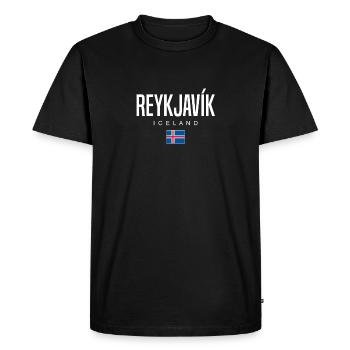 Île de Reykjavík - T-shirt Premium bio Homme - noir - Devant - Nico (187cm)