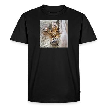 Kitten sleeping with favorite toy mouse - Men's Premium Organic T-Shirt - black - Front - Nico (187cm)