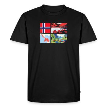 La nature norvégienne : des fjords aux sommets des montagnes - T-shirt Premium bio Homme - noir - Devant - Nico (187cm)