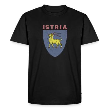 Istria flag Hrvatska Balkan Croatia trip Urla - Men's Premium Organic T-Shirt - black - Front - Nico (187cm)