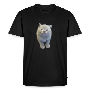 Chatons - T-shirt Premium bio Homme - noir - Devant - Nico (187cm)