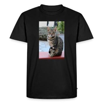 Cadeau mignon pour chats pour les amoureux des chats - T-shirt Premium bio Homme - noir - Devant - Nico (187cm)