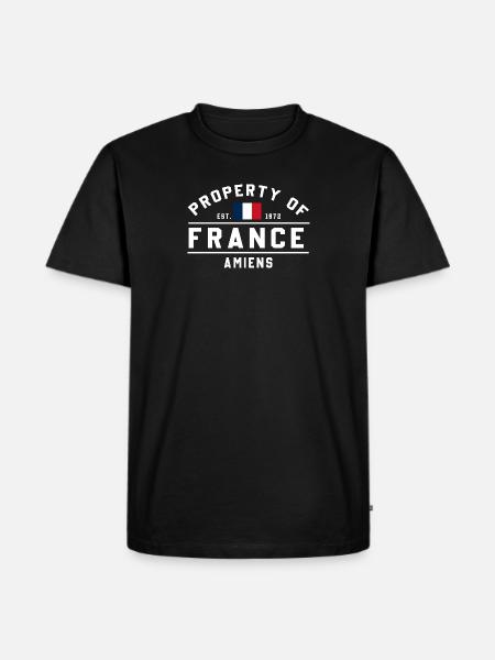 French Ownership in Amiens - Men's Premium Organic T-Shirt - black