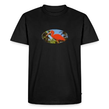 ibis 1 Flamand rouge Amazonie - T-shirt Premium bio Homme - noir - Devant - Nico (187cm)