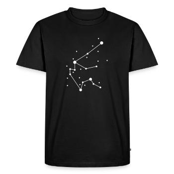 Acquarius Constellation - Men's Premium Organic T-Shirt - black - Front - Nico (187cm)