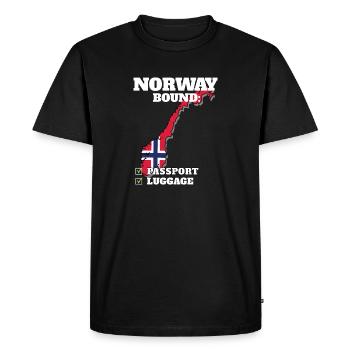 Norvège Pays à destination Voyage Drapeau norvégien - T-shirt Premium bio Homme - noir - Devant - Nico (187cm)