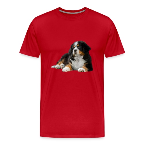 Berner Sennenhund - Männer Premium T-Shirt