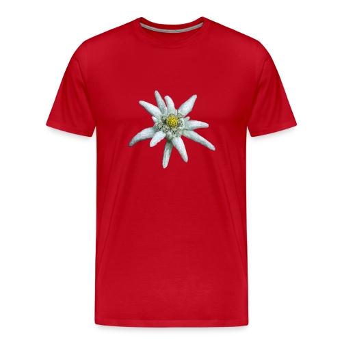 Alpen-Edelweiß - Männer Premium T-Shirt