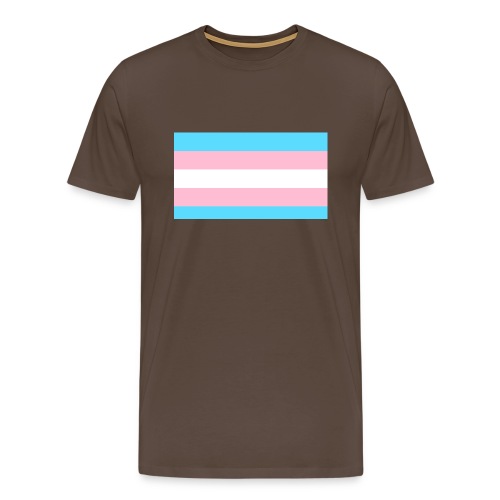 Transgender flag - Men's Premium T-Shirt