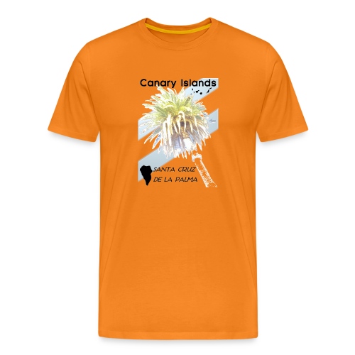 Santa Cruz de La Palma - Männer Premium T-Shirt