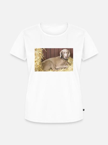Weimaraner im Stroh "Delta" - Frauen Premium Bio T-Shirt - Weiß