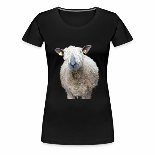 Durchblick! Wo Wolle du hin, Schaf? - Frauen Premium T-Shirt