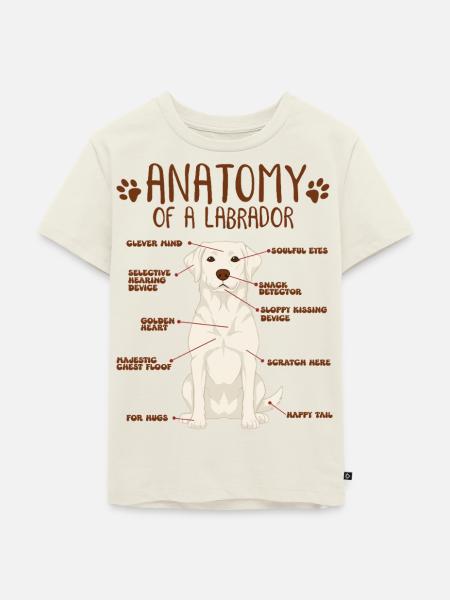 Anatomie eines white Labradors - Kinder Premium Bio T-Shirt - Naturweiß