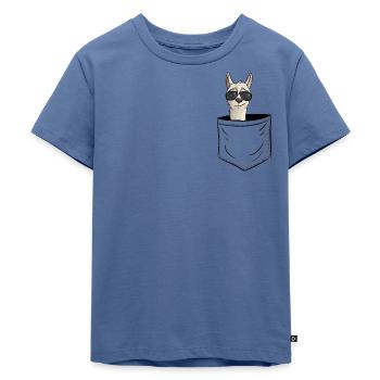 Hipster Alpaka mit Sonnenbrille | Lama in Tasche - Kinder Premium Bio T-Shirt - Taubenblau - Vorne - Mikhail (115cm)