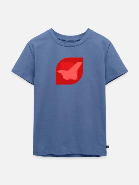 Aerospace Aerospace Engineering Flugzeug - Kinder Premium Bio T-Shirt - Taubenblau