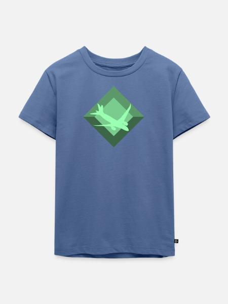 Aerospace Luftfahrt Aerospace Engineering - Kinder Premium Bio T-Shirt - Taubenblau