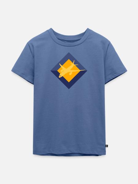 Aerospace Engineering Flugzeug Aerospace - Kinder Premium Bio T-Shirt - Taubenblau
