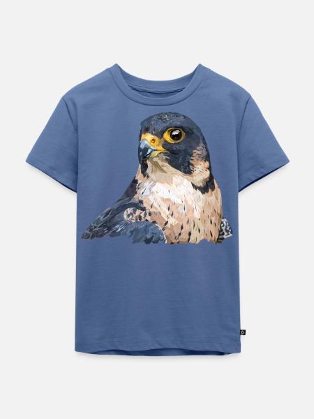 Wanderfalke - Kinder Premium Bio T-Shirt - Taubenblau