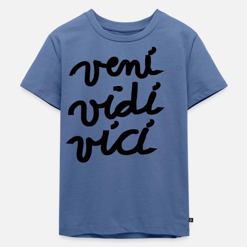 veni vidi vici Geschenk Idee römisch - Kinder Premium Bio T-Shirt - Taubenblau