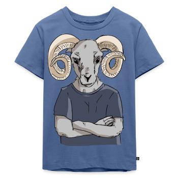 Ram Kerl - Kinder Premium Bio T-Shirt - Taubenblau - Vorne - Mikhail (115cm)