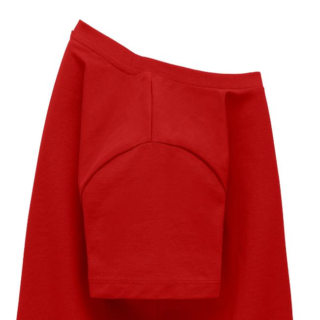 Logo offizieller Fanshop